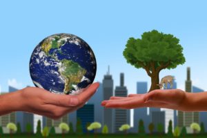 Sustentabilidade: um assunto de todos