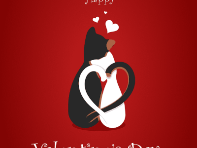 Dia de São Valentim - Valentine’s Day